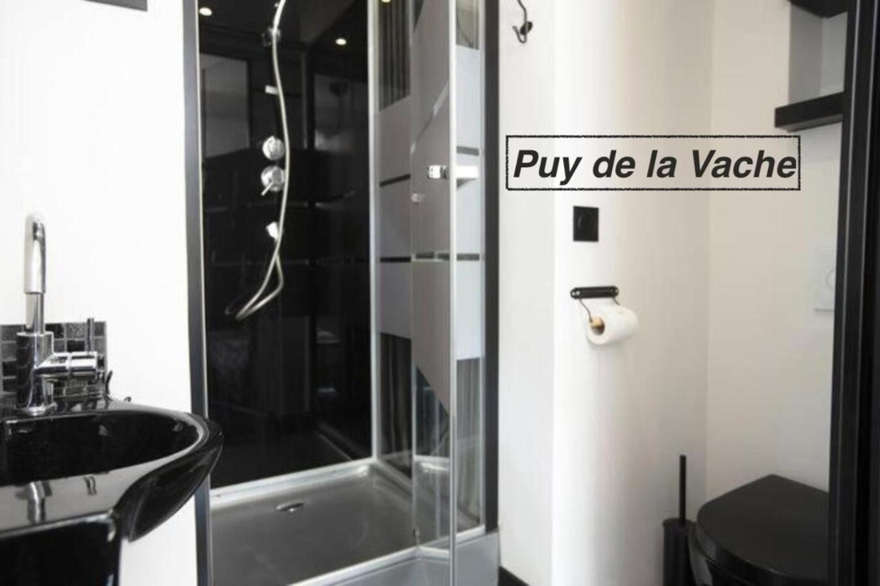 Logements Chaine Des Puys Avec Garages Attenants 克莱蒙费朗 外观 照片